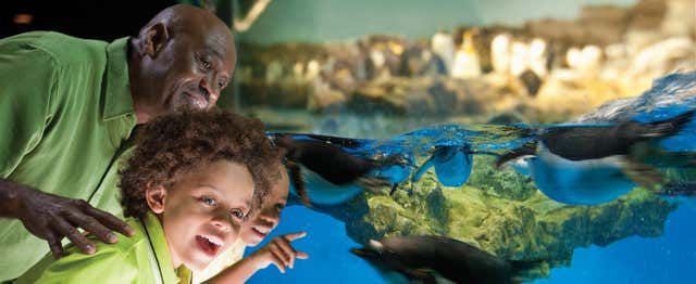 Entrada a SeaWorld San Antonio