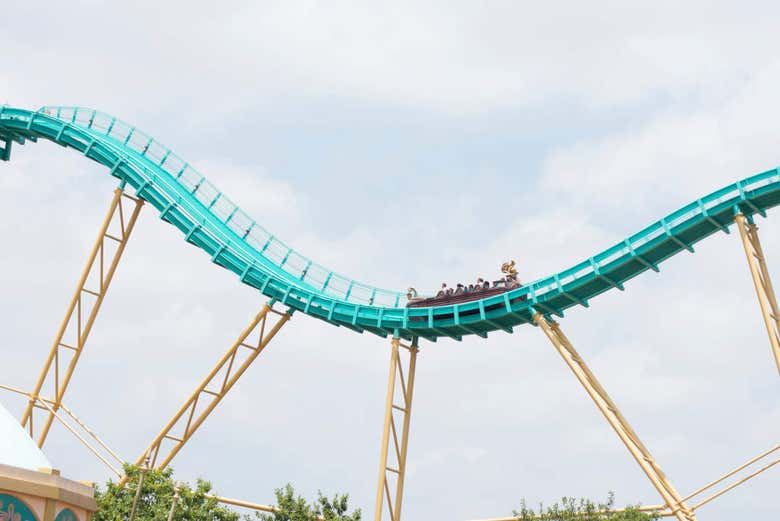 Imagen 5