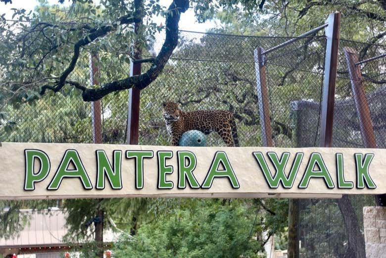 Imagen 8