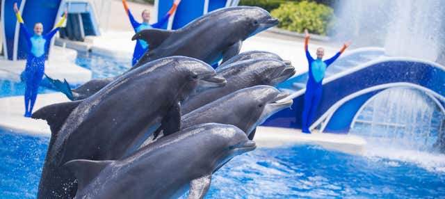 Biglietti per SeaWorld San Diego