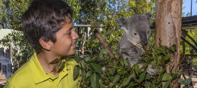 Biglietti per lo Zoo di San Diego