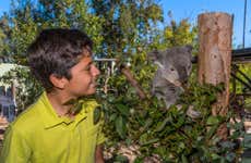 San Diego Zoo Tickets