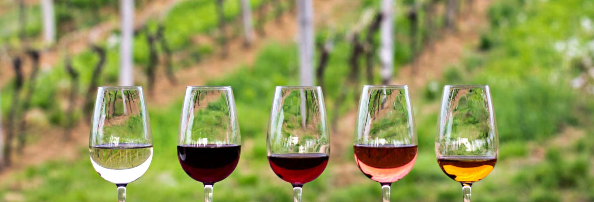 Escursione privata a Temecula