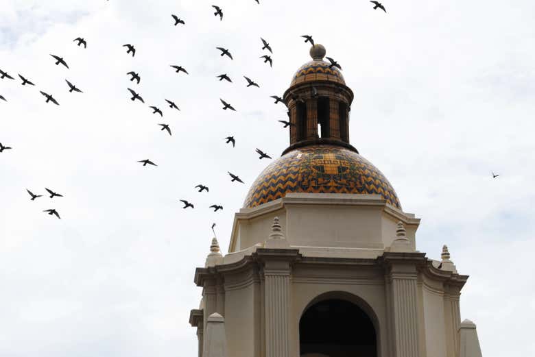 Imagen 4