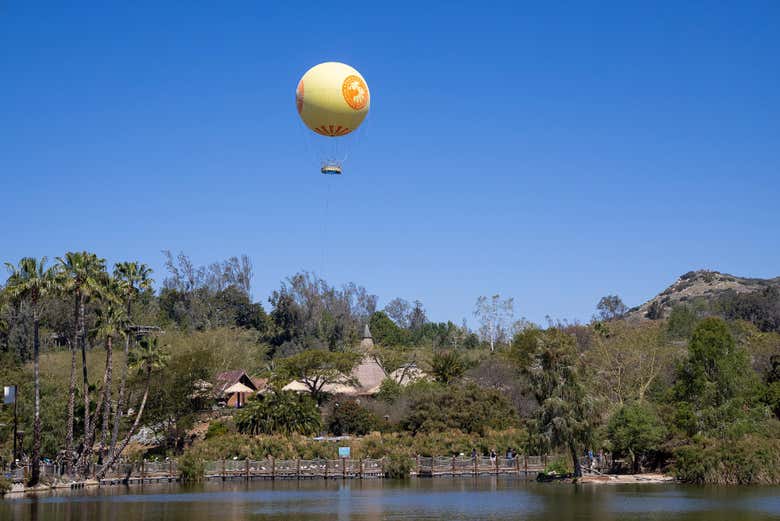 Imagen 6