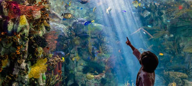 San Diego CityPASS®