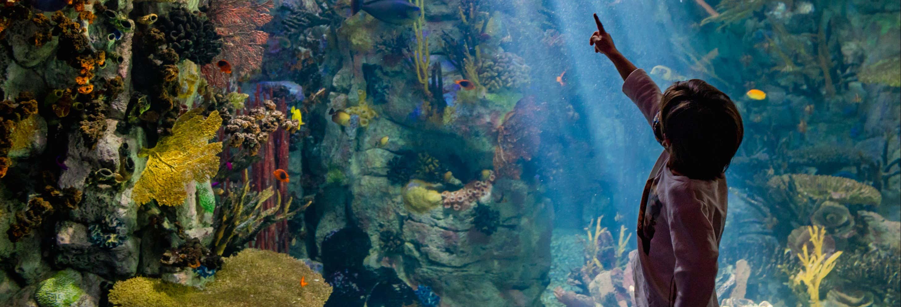 San Diego CityPASS®