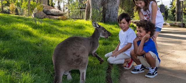 Biglietti per il San Diego Zoo Safari Park