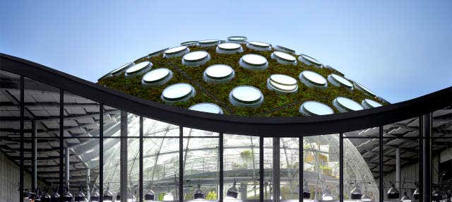 Biglietti per l'Accademia delle Scienze della California