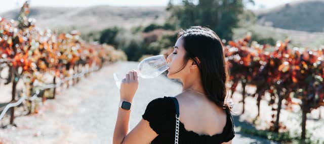 Muir Woods e vigneti della California