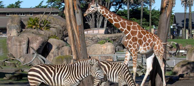 San Francisco CityPASS®