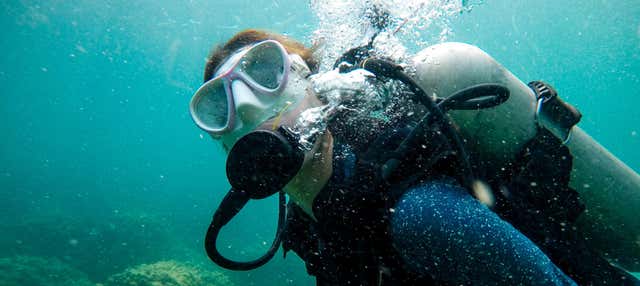 Immersione per principianti a San Juan