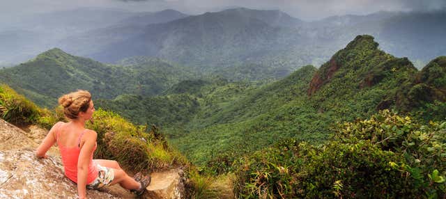 Foresta nazionale El Yunque + Baie bioluminescenti