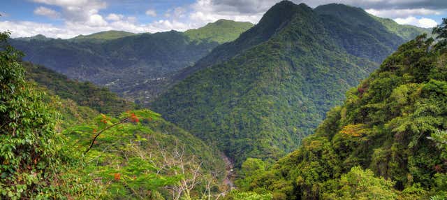 Escursione alla Foresta Nazionale El Yunque