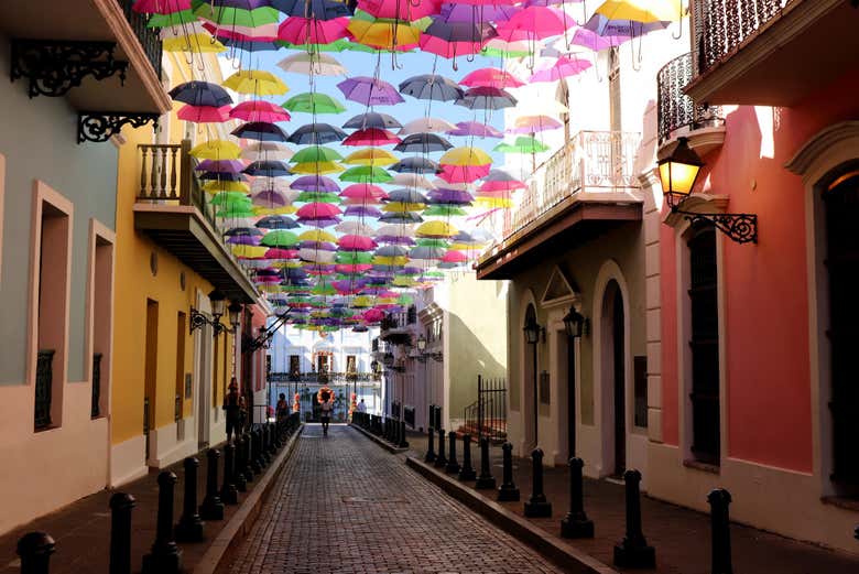 Imagen 6