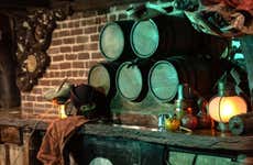 Savannah Pirate & Treasure Museum Tickets