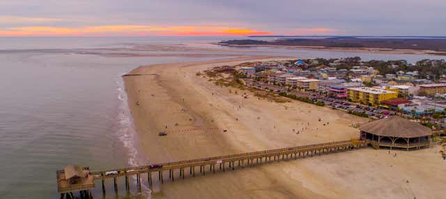 Escursione a Tybee Island + Avvistamento di delfini