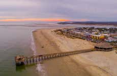 Tybee Island Day Trip & Dolphin Watching
