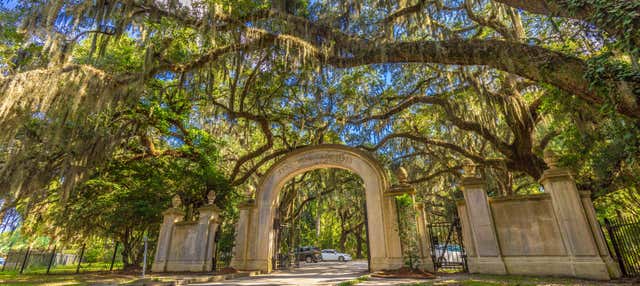 Escursione a Wormsloe e al cimitero Bonaventure