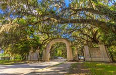 Wormsloe & Bonaventure Cemetery Day Trip