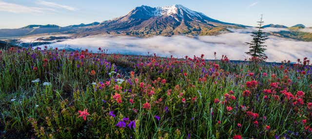 Escursione al Monte Saint Helens
