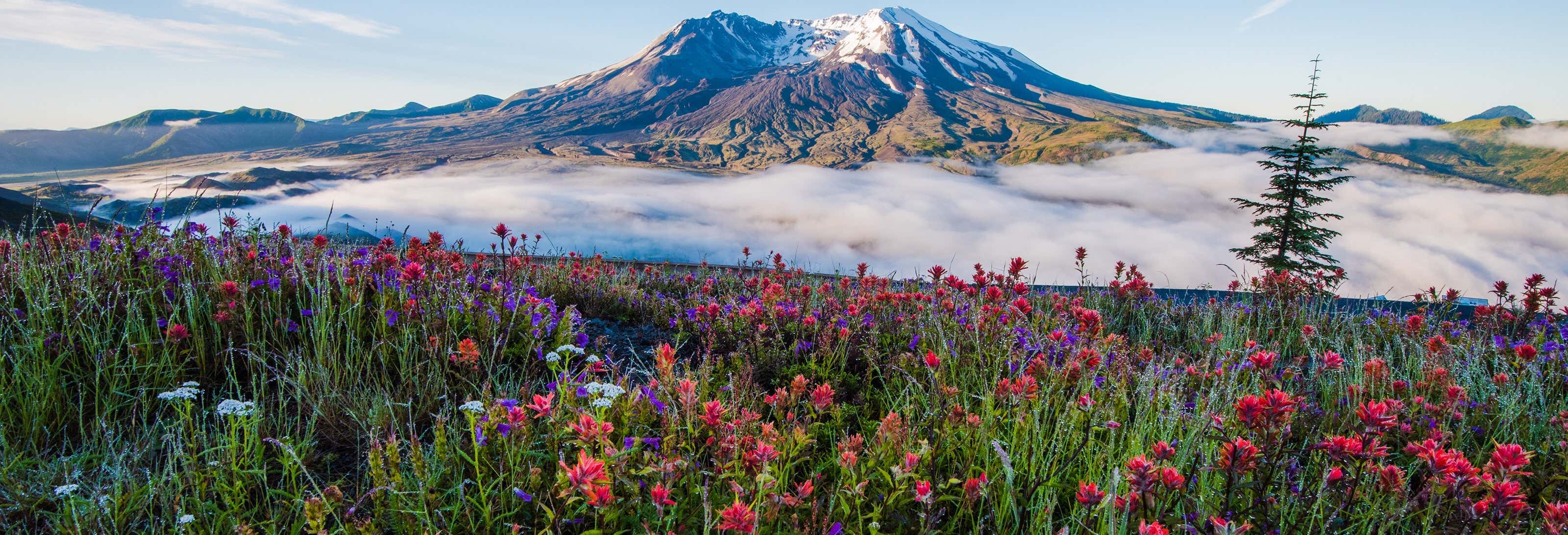 Escursione al Monte Saint Helens