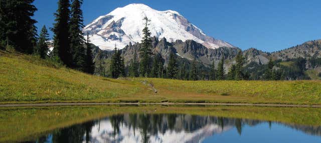 Escursione al Parco Nazionale del Monte Rainier
