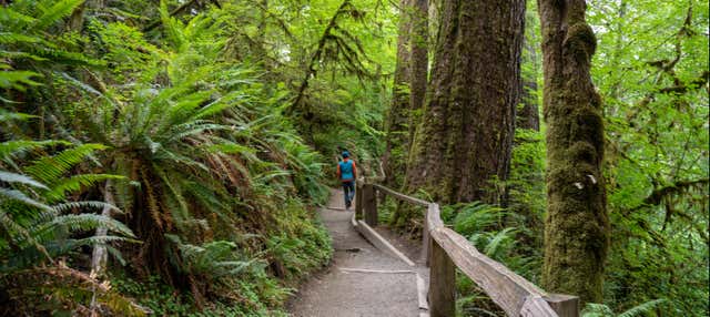 Escursione al Parco Nazionale Olympic