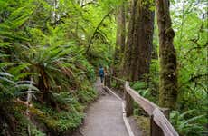 Olympic National Park Tour