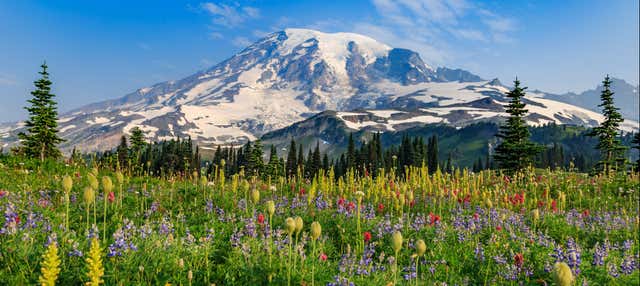 Excursão privada ao Monte Rainier