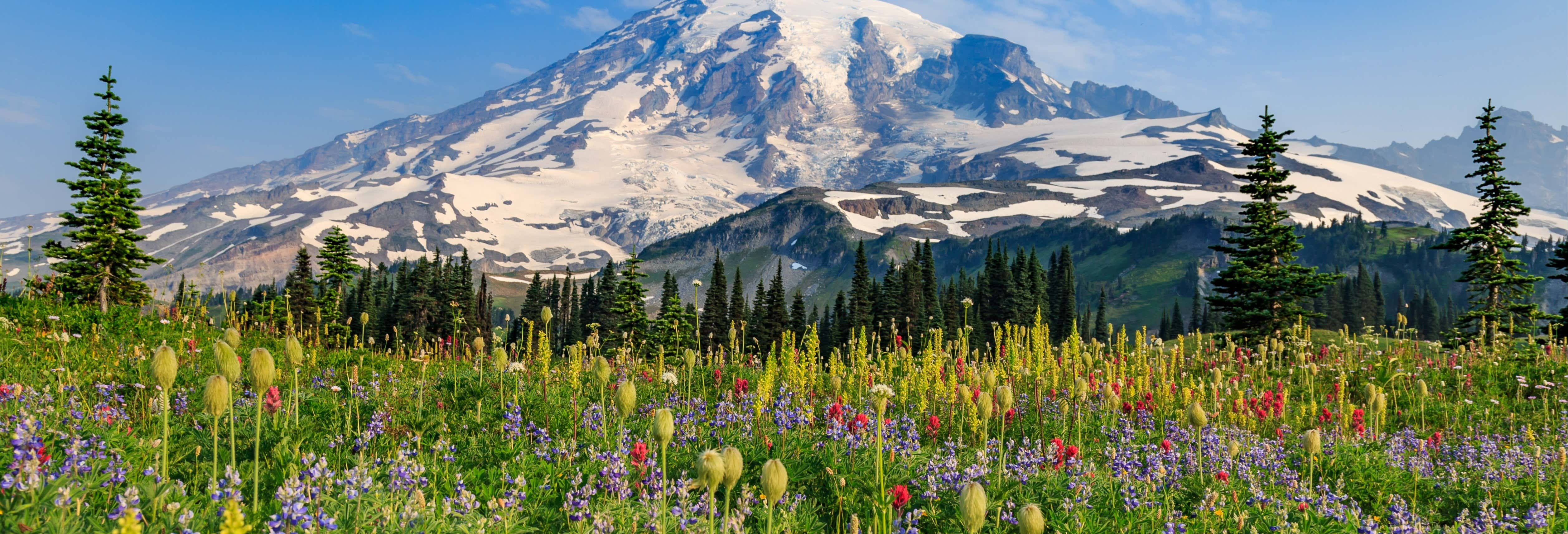 Excursão privada ao Monte Rainier