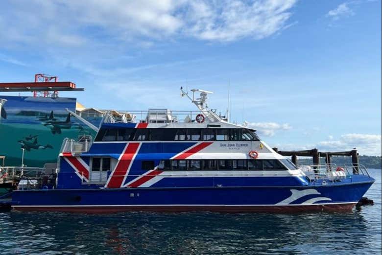 Half-Day Whale Watching Tour