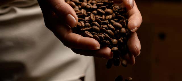 Tour del caffè di Seattle