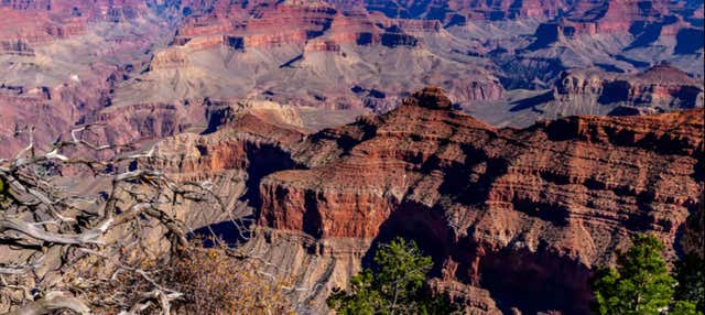 Escursione al Grand Canyon