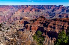 Grand Canyon Day Trip