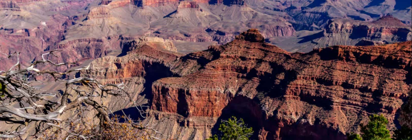 Escursione al Grand Canyon
