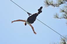 Flagstaff Ziplining Experience