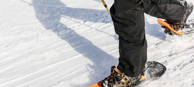 Passeggiata con racchette da neve a Seward