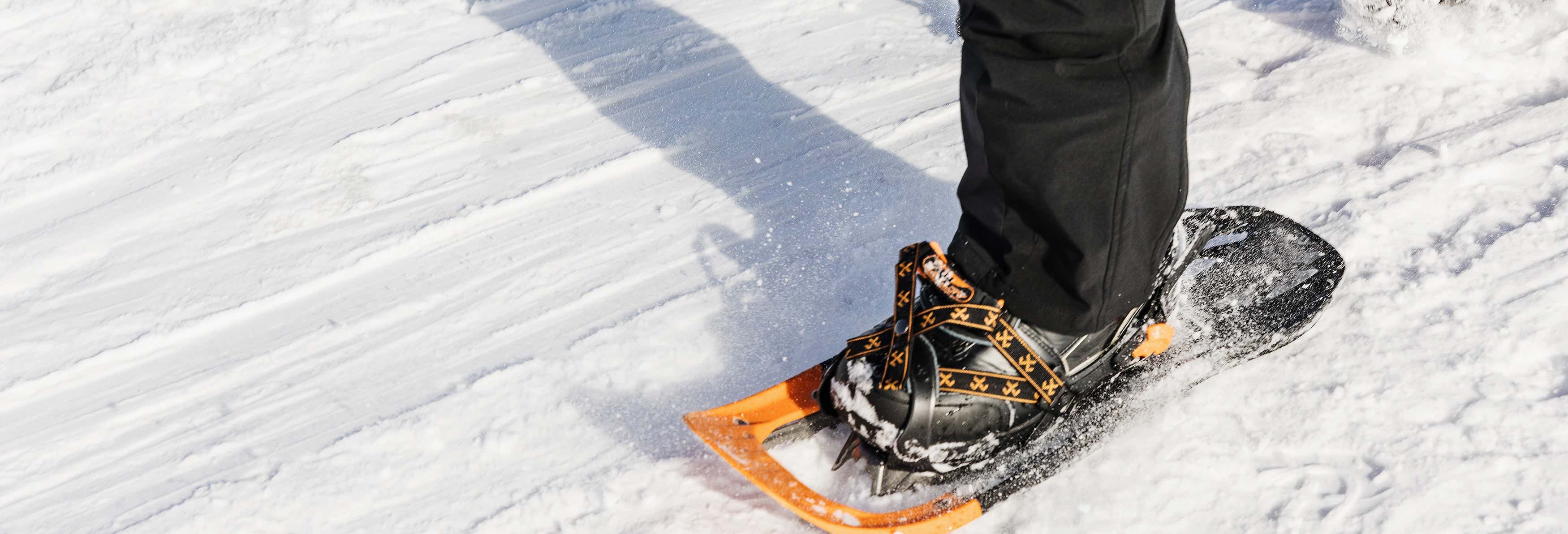 Passeggiata con racchette da neve a Seward