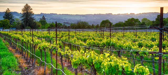 Sonoma County Tasting Pass