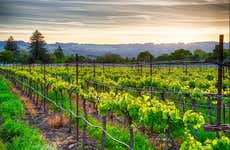 Sonoma County Tasting Pass