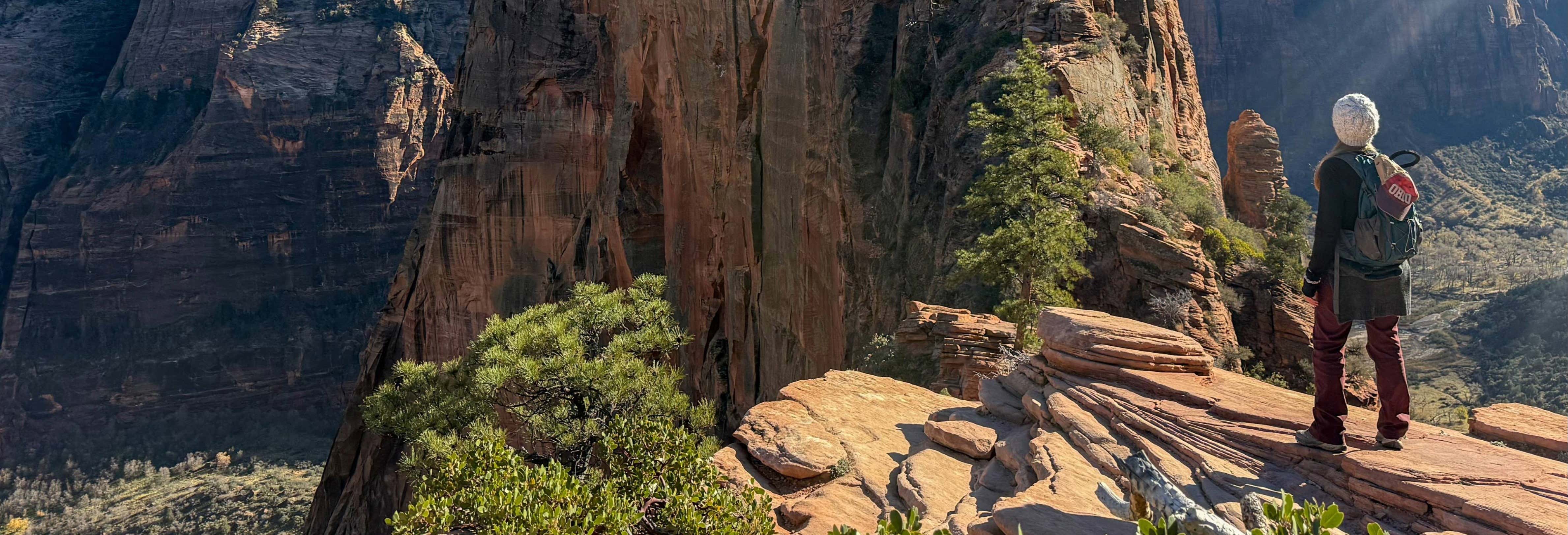 Trekking ad Angels Landing