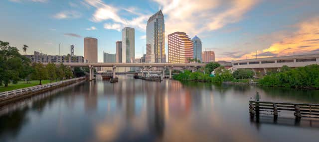 Minicrociera a Clearwater con pranzo o cena