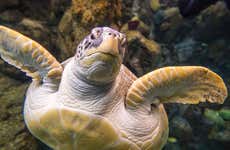 The Florida Aquarium Tickets