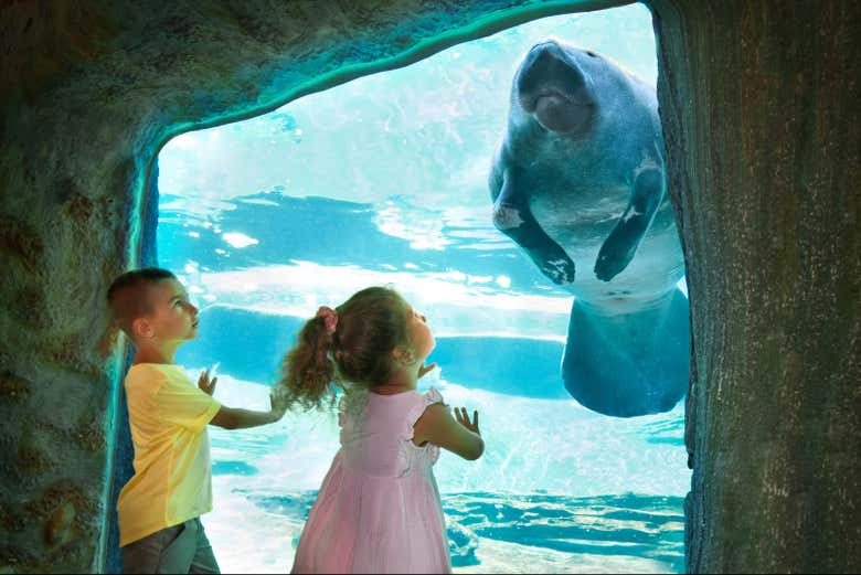 ZooTampa Admission Ticket