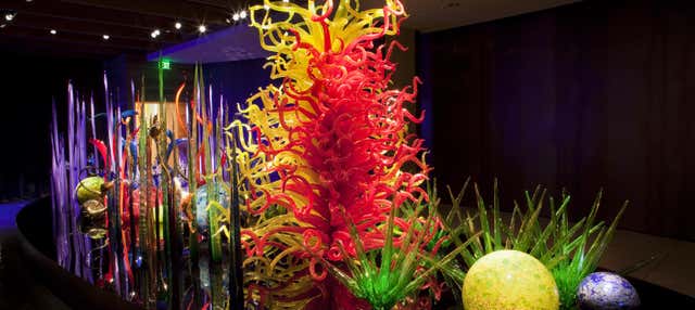 Tampa Bay CityPASS®