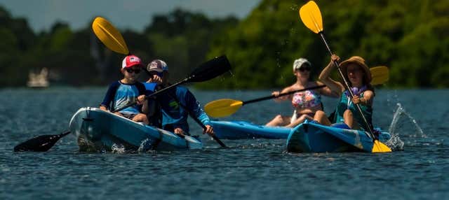Tour di Tampa in kayak