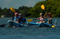Tampa Kayak Tour