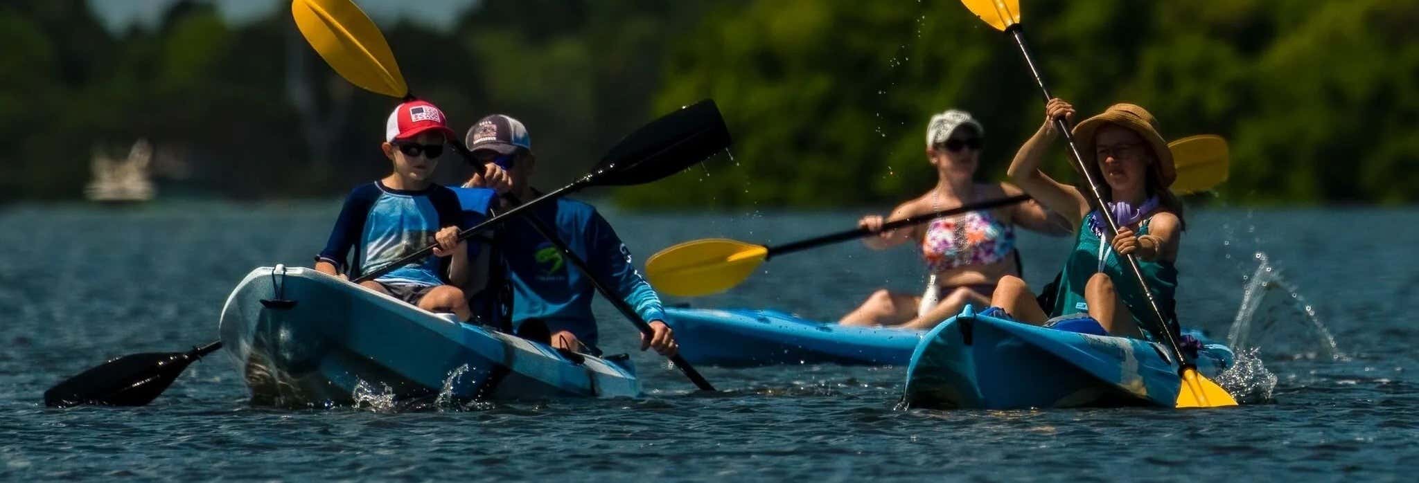 Tour di Tampa in kayak