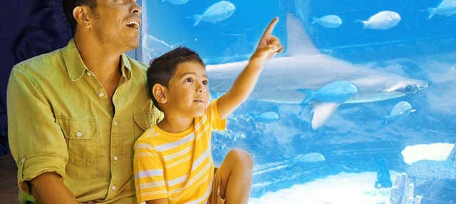 Biglietti per il Sea Life Park Hawaii